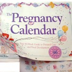 Pregnancy-calendar